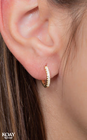 Zircons Hoop Small GP Earring