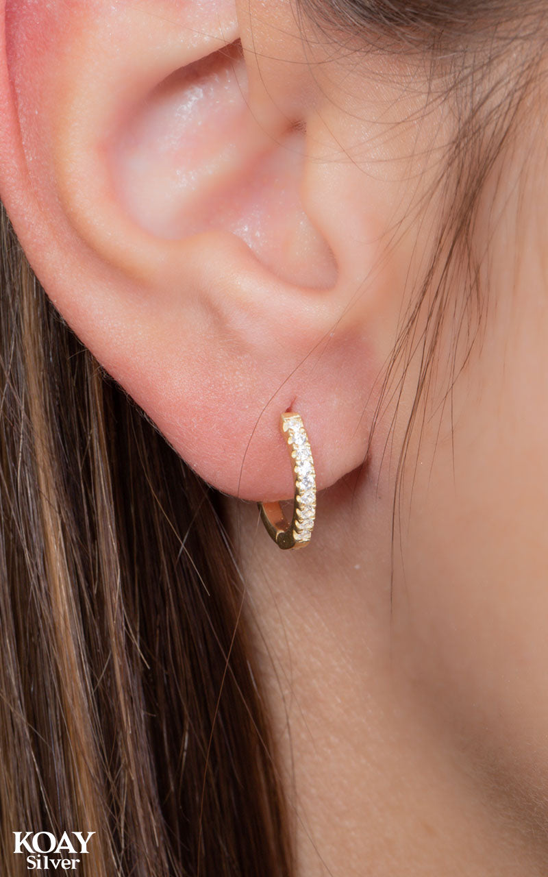 Zircons Hoop Small GP Earring