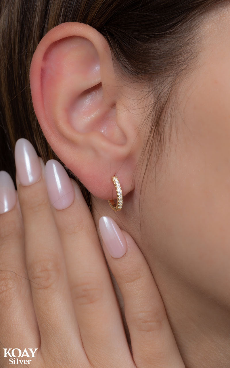 Zircons Hoop Small GP Earring