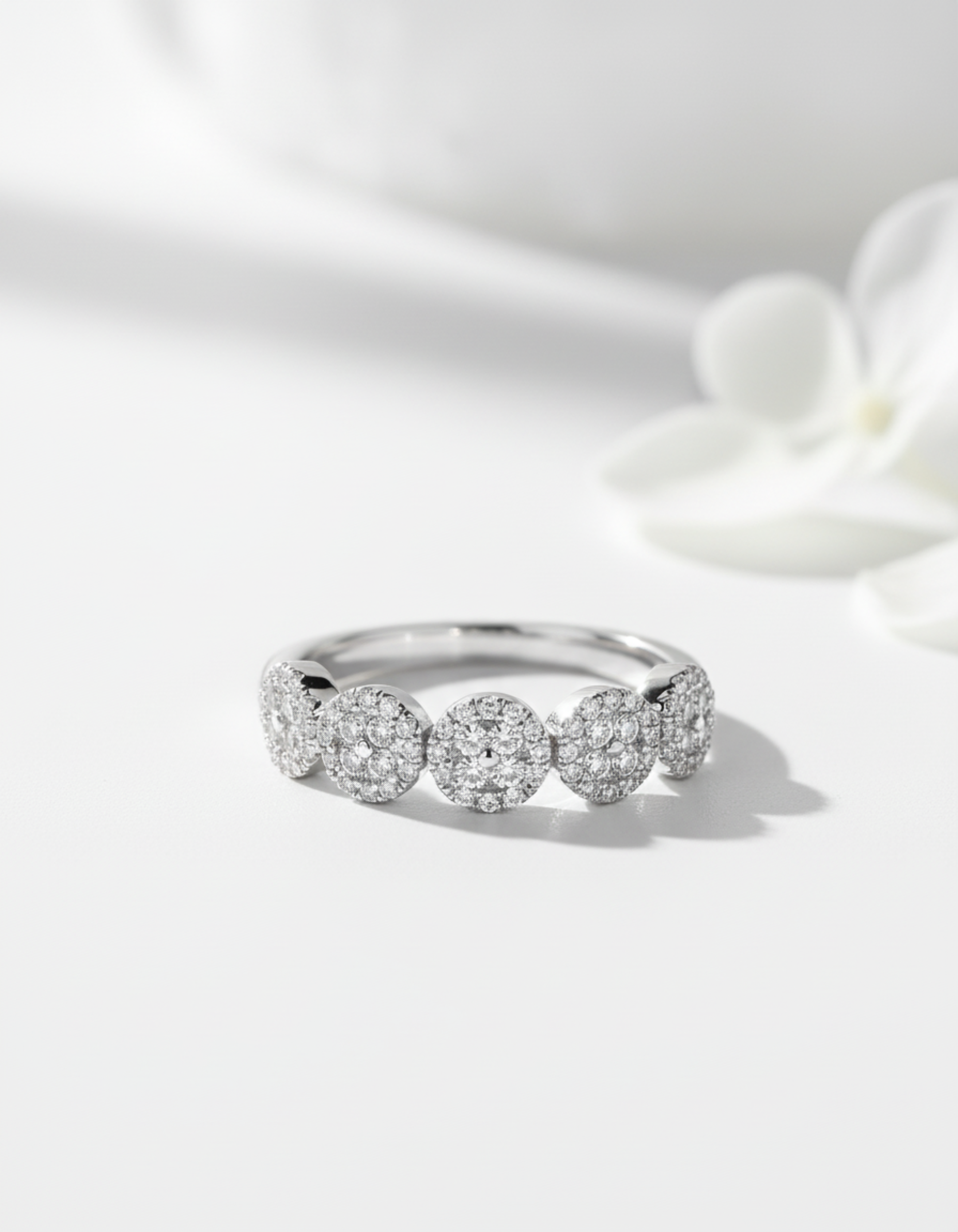 Circles Zircon R
